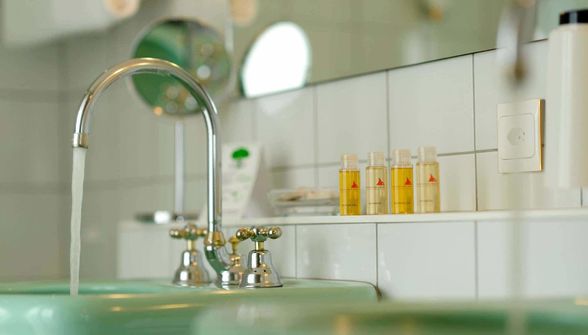Hotel Walliserhof - The Dom Collection グレヘン エクステリア 写真